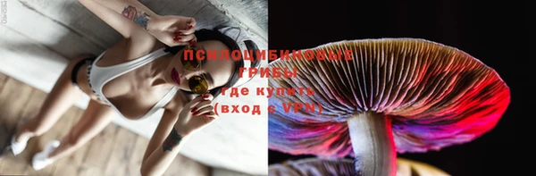 гашик Куйбышев