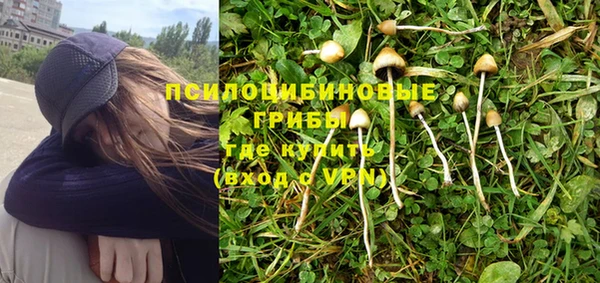 мдпв Михайловск
